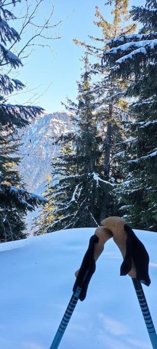 Bel Appart Pour 4/6 Pers Plein Sud Sans Vis A Vis Chamrousse Exteriér fotografie
