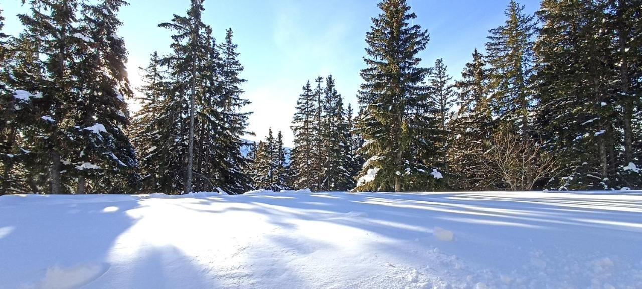 Bel Appart Pour 4/6 Pers Plein Sud Sans Vis A Vis Chamrousse Exteriér fotografie